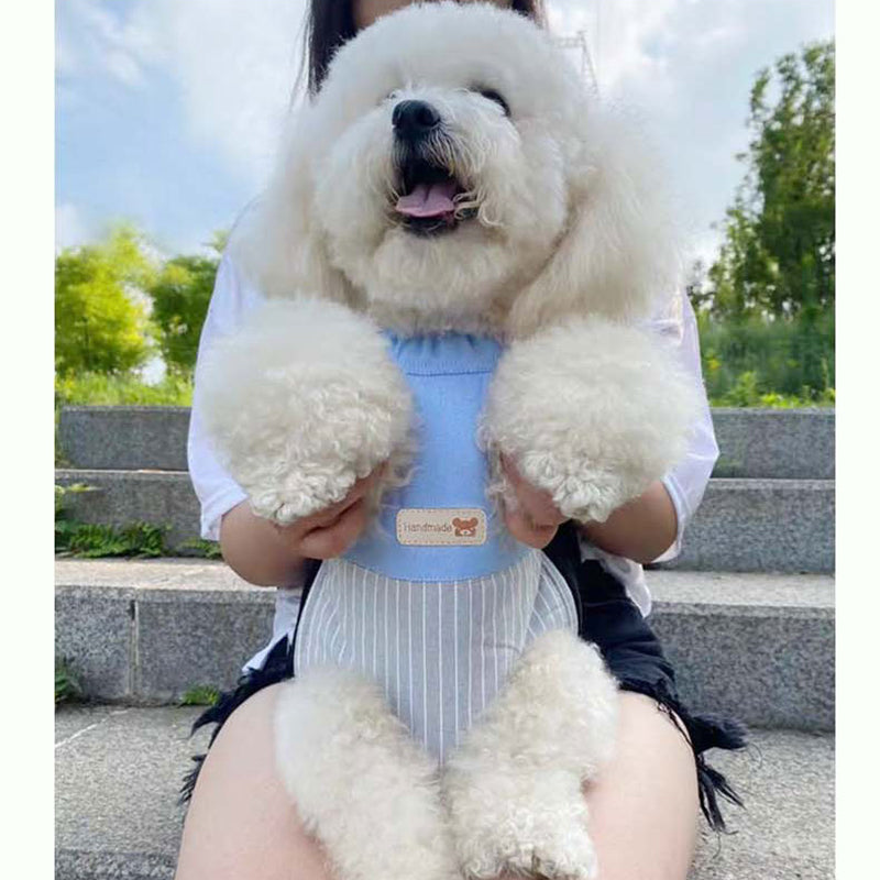 Size XXL Blue-Gray Patchwork Pet Backpack Dog Carrier Cat Travel Bag - Breathable, Portable & Hands-Free Four-Leg Design