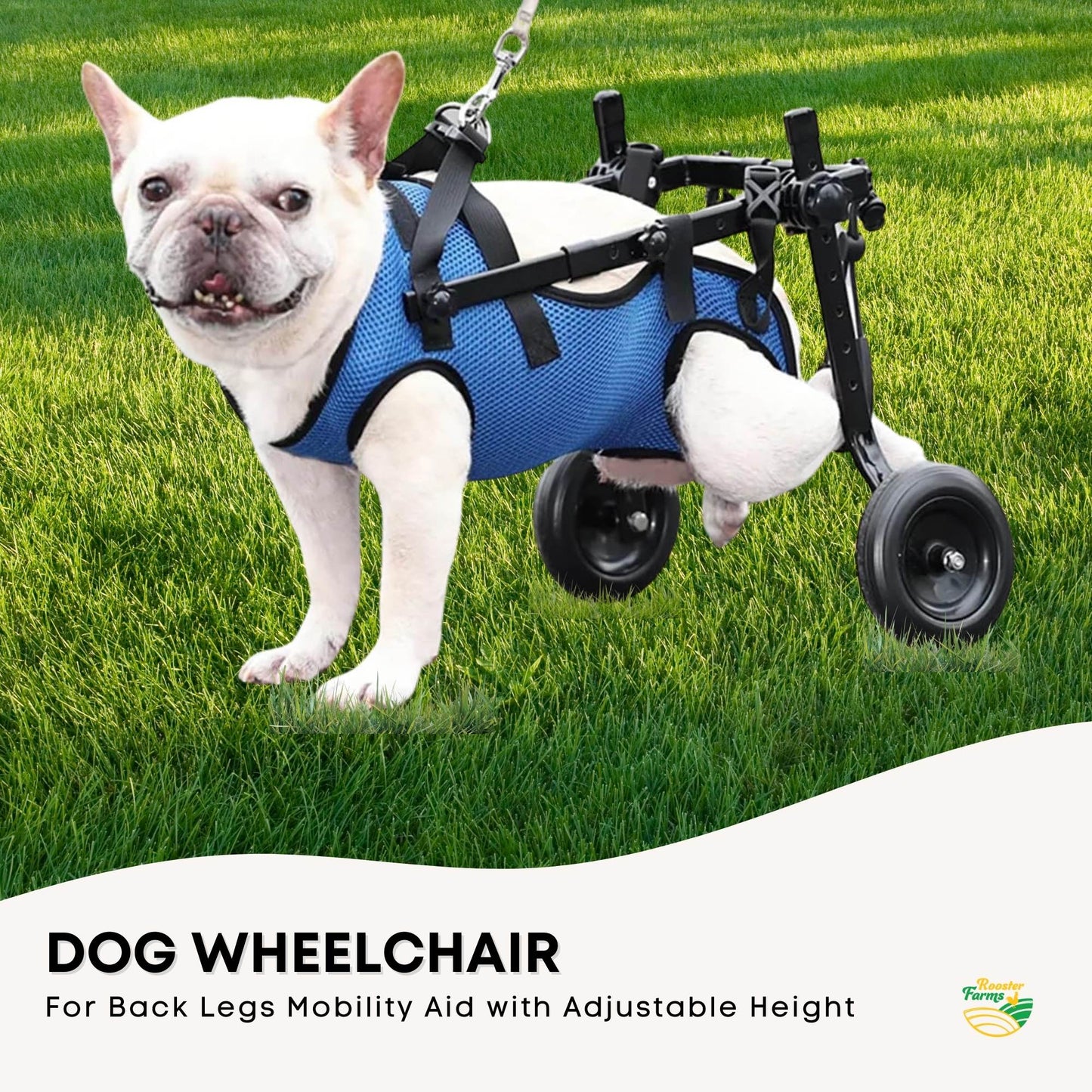 Rooster Farms Little Dog Wheelchair XS Harness - Adjustable Back Leg Aid